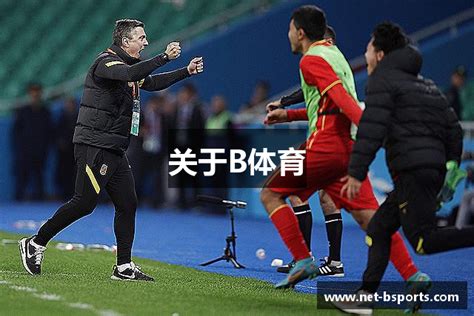 这是描述信息